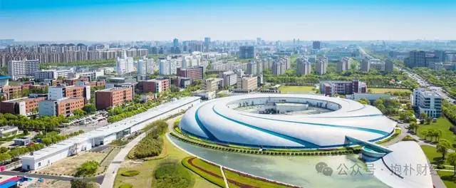 从跟跑到领跑，“一粒种子”的闯关突围
